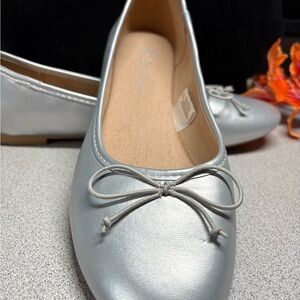 Elegant Silver Women's Ballet Flats